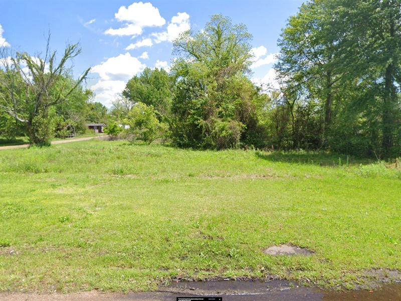 Tiny House Lot : Jackson : Hinds County : Mississippi