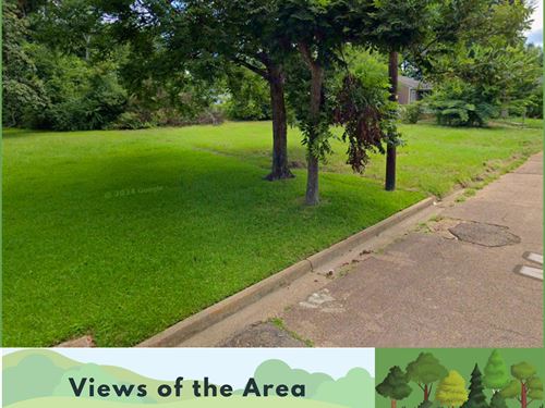 Big Tiny House Lot : Jackson : Hinds County : Mississippi