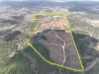 203 Acres, Neches River Front, Co : Jasper : Texas