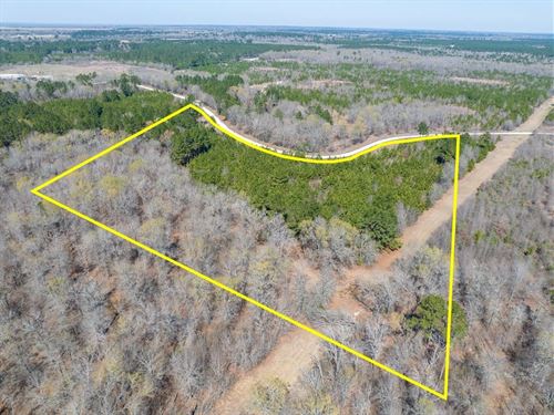 10 Acres, Bo Brown Road : Trinity : Texas