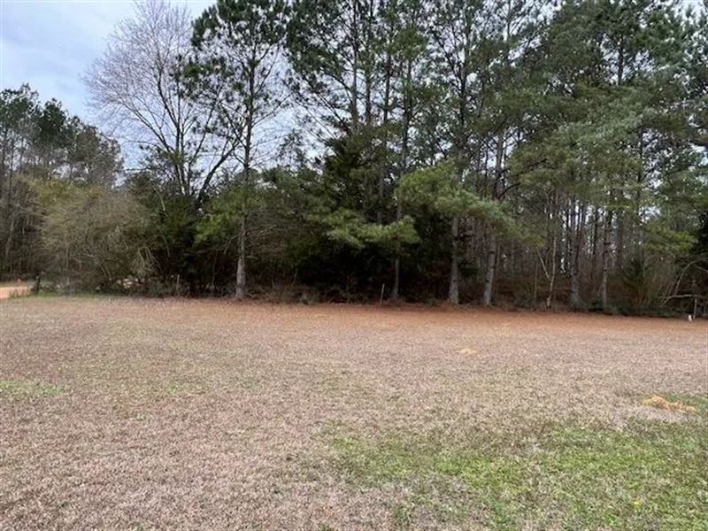 Home on 1 Acre in Crenshaw County : Luverne : Crenshaw County : Alabama