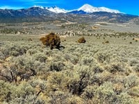 Build in Sdcr, Best Mtn Views : Fort Garland : Costilla County : Colorado