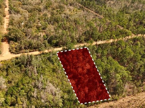 Enjoy Privacy and Nature : Marianna : Jackson County : Florida