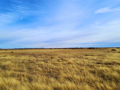 1 Acre Desert Land NM : Deming : Luna County : New Mexico