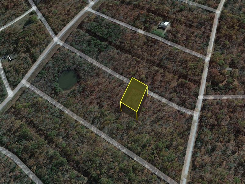Snag This Rare Lot for $55 Down : Horseshoe Bend : Izard County : Arkansas