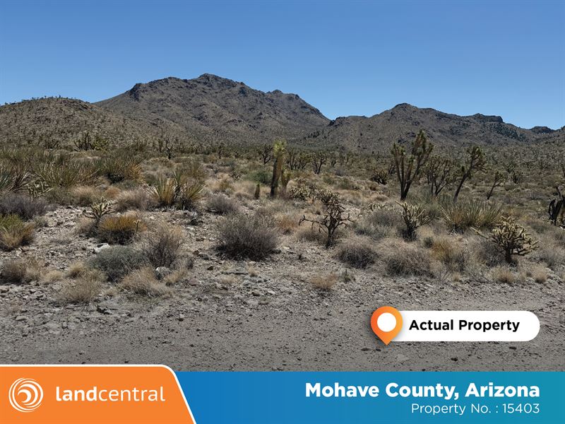 Great 1.06 Acre Desert in AZ : Dolan Springs : Mohave County : Arizona