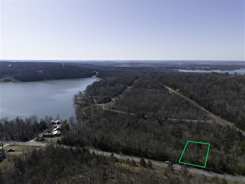 Steps From Diamond Lake : Horseshoe Bend : Izard County : Arkansas
