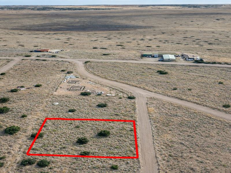 .34 Acre Forest Edge Lot : Concho : Apache County : Arizona
