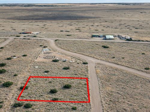 .34 Acre Forest Edge Lot : Concho : Apache County : Arizona