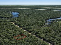 .13 Acre Wooded Trinity River Lot : Dayton : Liberty County : Texas
