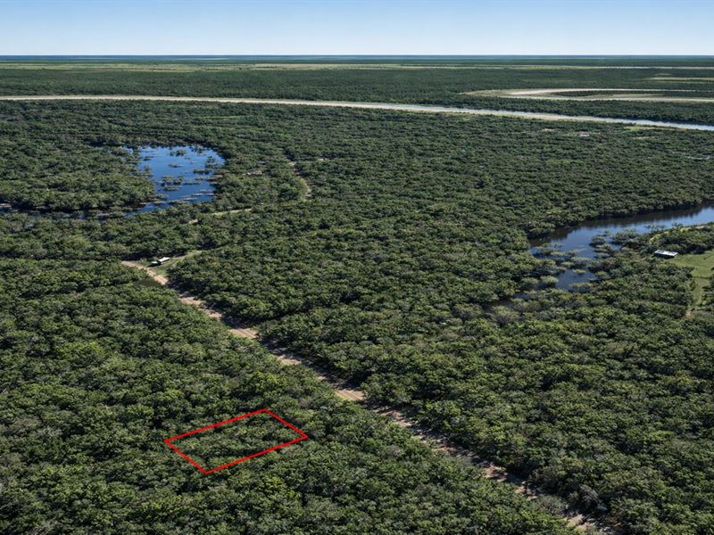 .13 Acre Wooded Trinity River Lot : Dayton : Liberty County : Texas