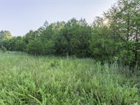A Hunters & Anglers Escape : Horseshoe Bend : Izard County : Arkansas