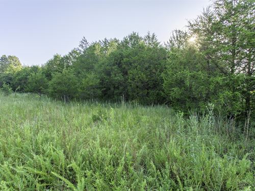 A Hunters & Anglers Escape : Horseshoe Bend : Izard County : Arkansas