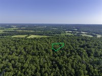 Trade Traffic for Trees : Horseshoe Bend : Izard County : Arkansas