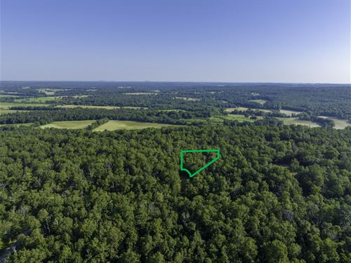 Trade Traffic for Trees : Horseshoe Bend : Izard County : Arkansas