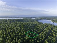 Live Lake Life Near Crown Lake : Horseshoe Bend : Izard County : Arkansas