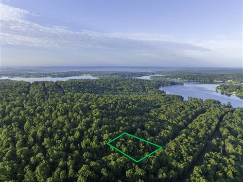 Live Lake Life Near Crown Lake : Horseshoe Bend : Izard County : Arkansas