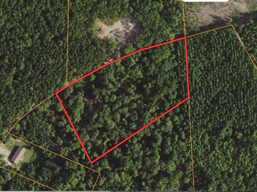 5 Acres in Louisa County VA : Louisa : Virginia
