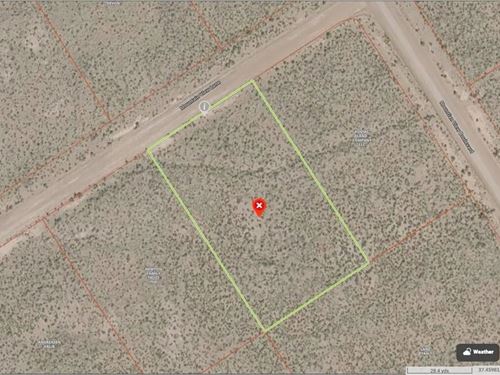 Lot 42 Deer Valley Meadows, Alamo : Alamosa : Colorado