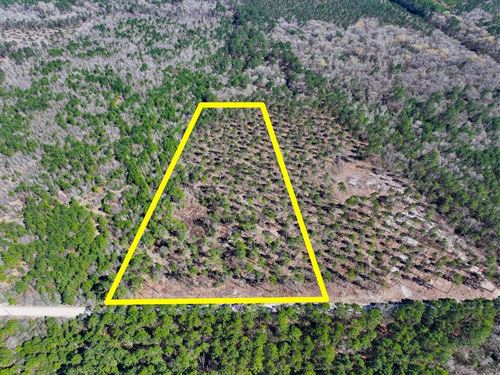 12.65 Acres, T-1, Boontown Road : Trinity : Texas
