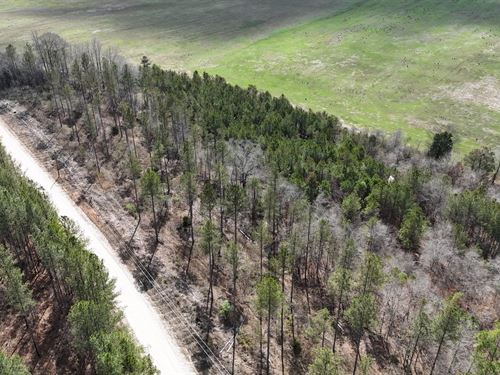 Gleneagles Lot 15 : Piedmont : Cherokee County : Alabama
