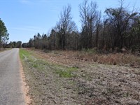 Wooded Homesite : Eastman : Dodge County : Georgia