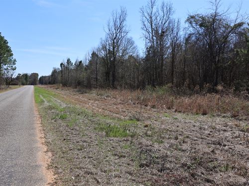 Wooded Homesite : Eastman : Dodge County : Georgia