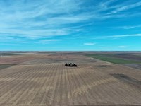Ovid South Table Dryland : Ovid : Sedgwick County : Colorado