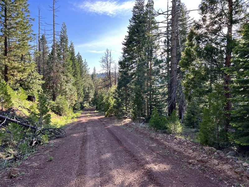 Skip The Stock Stress. Buy Land : Alturas : Modoc County : California
