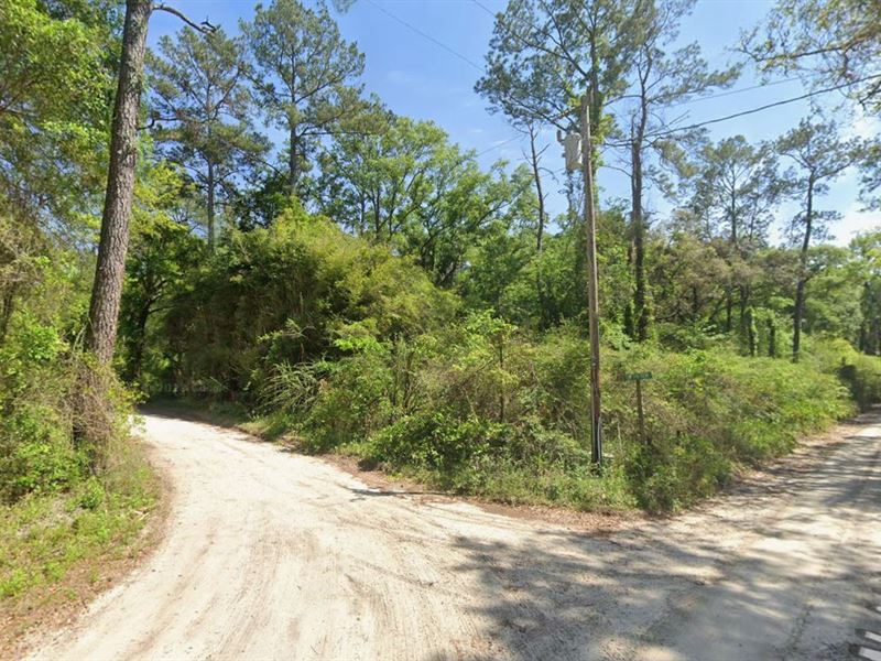 Campsite Lot Near Suwannee River : Jasper : Hamilton County : Florida