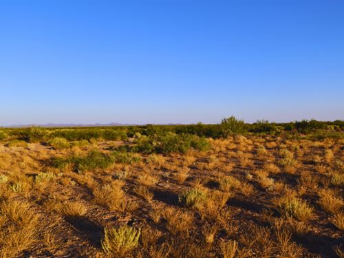2 Acres Luna County NM : Deming : Luna County : New Mexico