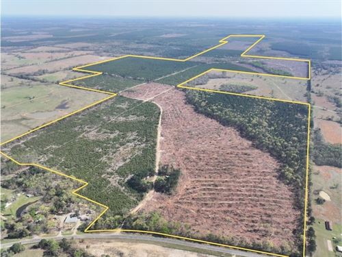 824 Acres, FM 195, Kiskadee : Addielou : Red River County : Texas