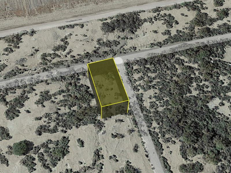 Spring Land Sale for Just $95 Down : Mohave Valley : Mohave County : Arizona