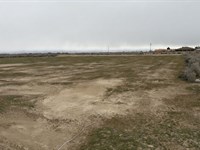Build Your Desert Dream : Pahrump : Nye County : Nevada