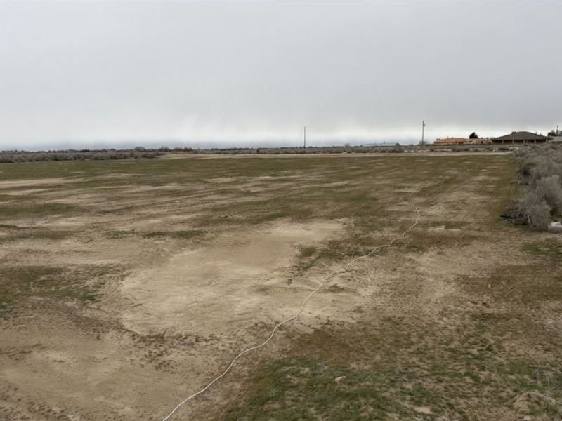 Build Your Desert Dream : Pahrump : Nye County : Nevada