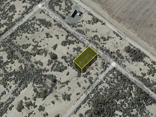 Hot Spring Deal, Land for $95 Down : Mohave Valley : Mohave County : Arizona