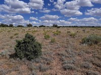 Your Private Desert Retreat Awaits : Chambers : Apache County : Arizona