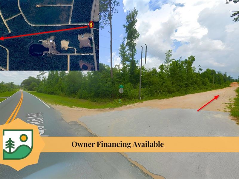Wooded Lot in Alford, Fl, $311/Mo : Alford : Jackson County : Florida