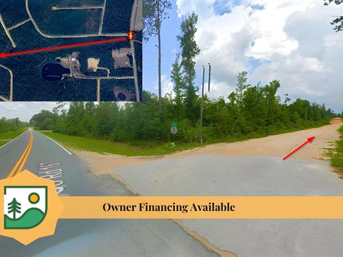 Wooded Lot in Alford, Fl, $311/Mo : Alford : Jackson County : Florida