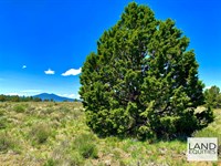 Juniper Savanna Near The River : Sprague River : Klamath County : Oregon