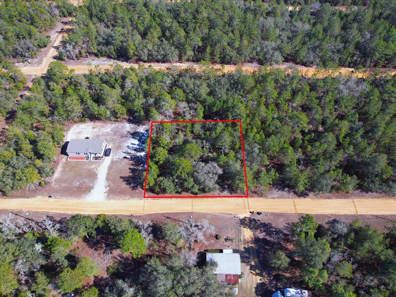 Own Your Piece Of Old Florida : Interlachen : Putnam County : Florida