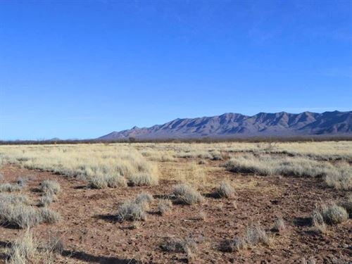 3 Combined Lots for Camping : Holbrook : Apache County : Arizona
