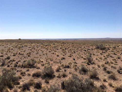 Combined Parcels for Weekend Use : Holbrook : Apache County : Arizona