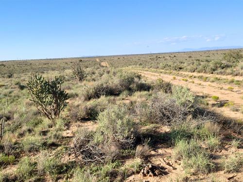 Space to Build in a Growing Area : Rio Rancho : Sandoval County : New Mexico