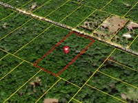 4.80 Acres in Old Town, FL : Old Town : Dixie County : Florida