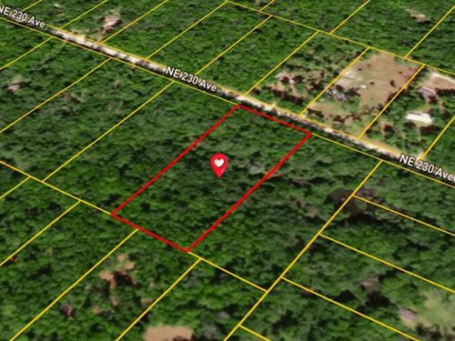 4.80 Acres in Old Town, FL : Old Town : Dixie County : Florida