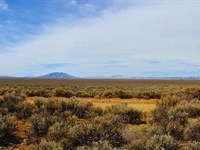 4.9 Acres Colorado Mountain Land : Blanca : Costilla County : Colorado