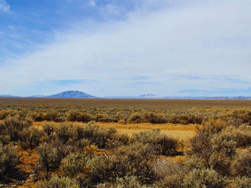 4.9 Acres Colorado Mountain Land : Blanca : Costilla County : Colorado