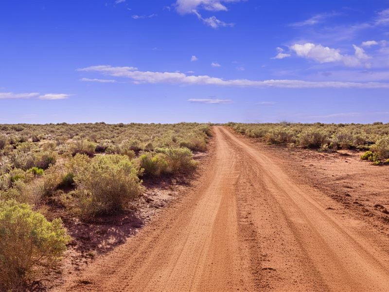 1.09Ac Williams AZ Corner $175/Mo : Williams : Coconino County : Arizona