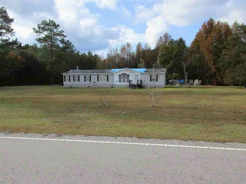 2 Ac in Pineland, SC : Pineland : Jasper County : South Carolina